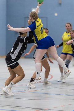 Bild 209 - F HSG Pinnau2 - Rellinger TV2 : Ergebnis: 27:20
